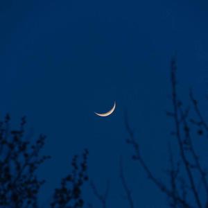 欧美黄色录像吃精子
